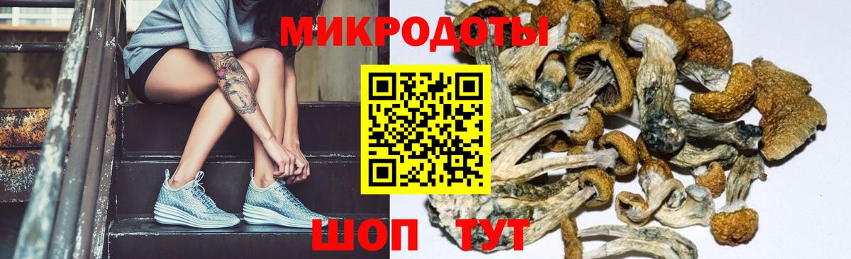 Тула  Галлюциногенные грибы MAGIC MUSHROOMS  Вход с VPN 